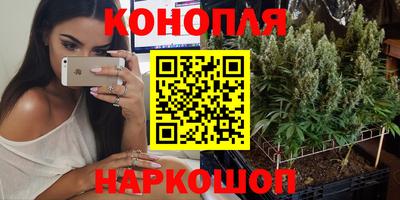 каннабис Ставрополь